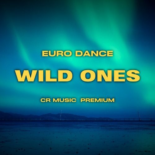 Buy EDM Ghost Production track - Wild Ones