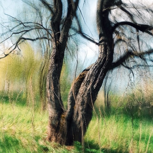 Buy EDM Ghost Production track - Diplo x Joel Corry