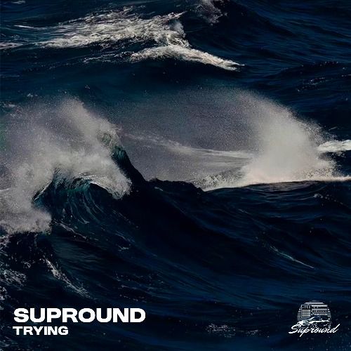 Buy EDM Ghost Production track - Trying