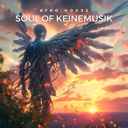 Buy EDM Ghost Production track - Soul of Keinemusik