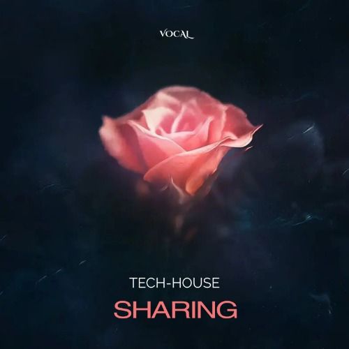 Buy EDM Ghost Production track - Sharing