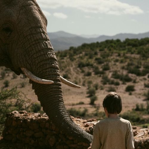 Buy EDM Ghost Production track - The Sound