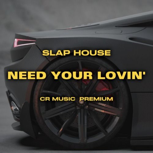 Buy EDM Ghost Production track - Need Your Lovin'