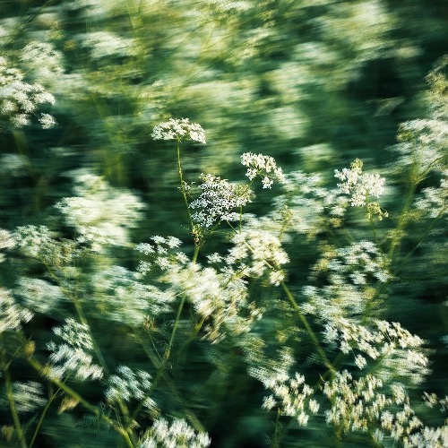 Buy EDM Ghost Production track - Madeon x Lenno