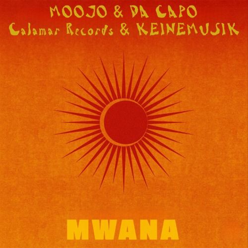 Buy EDM Ghost Production track - Mwana