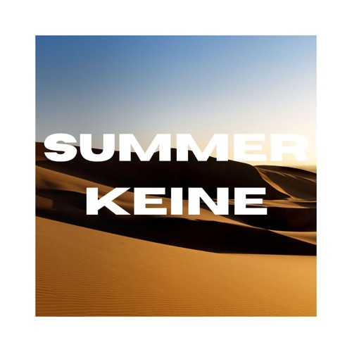 Buy EDM Ghost Production track - Summer Keine