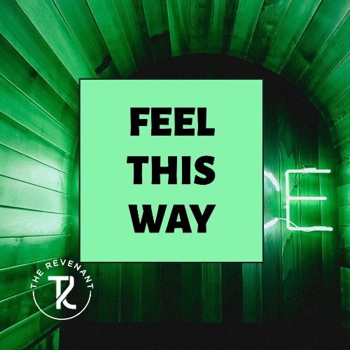 Buy EDM Ghost Production track - Feel This Way