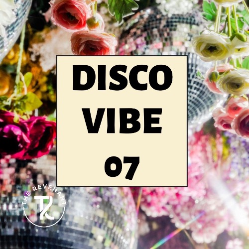 Buy EDM Ghost Production track - Disco Vibe 07