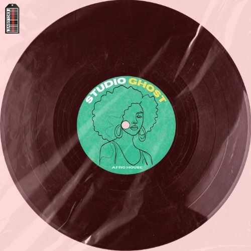 Buy EDM Ghost Production track - Adam Port Afrostyle