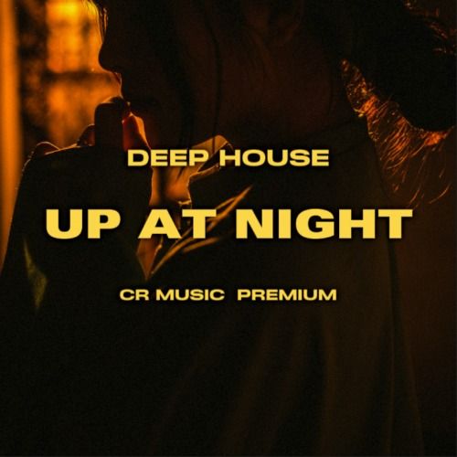 Buy EDM Ghost Production track - Up At Night