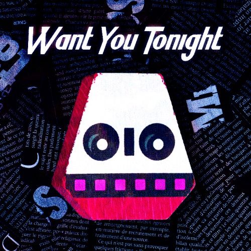 Buy EDM Ghost Production track - Want You Tonight