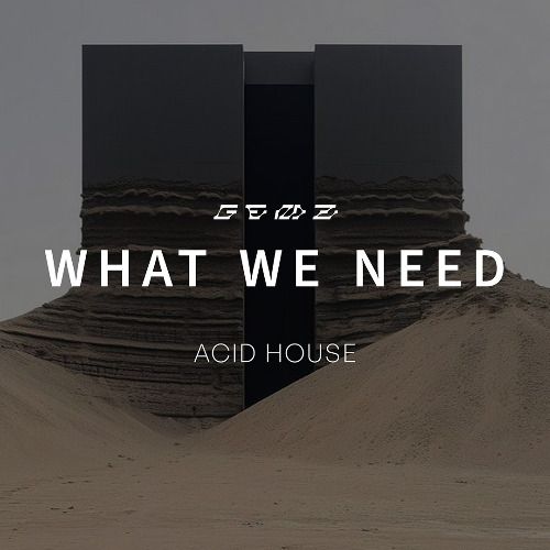 Buy EDM Ghost Production track - What We Need
