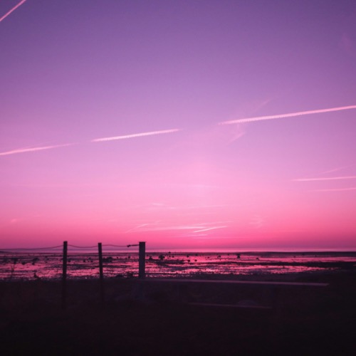 Buy EDM Ghost Production track - Palmarola