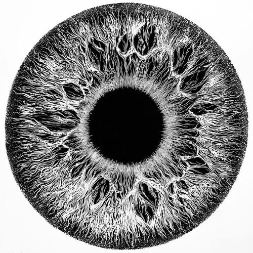 Buy EDM Ghost Production track - Hypnotic Therapy