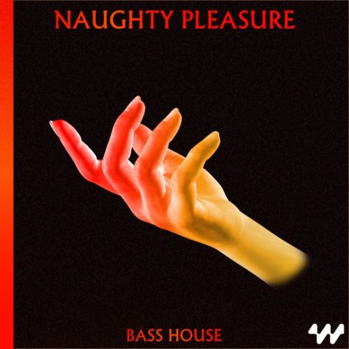 Buy EDM Ghost Production track - Naughty Pleasure