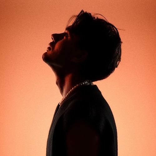 Buy EDM Ghost Production track - Toxic Love Rivo x Wann