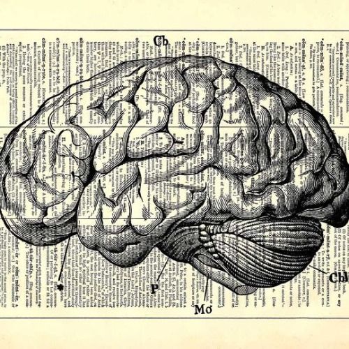 Buy EDM Ghost Production track - Mind