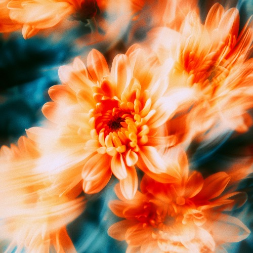 Buy EDM Ghost Production track - Autumn Calling