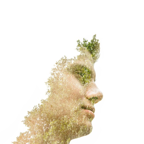 Buy EDM Ghost Production track - Bohmer Melodic