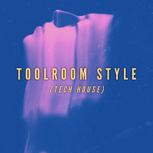 Buy EDM Ghost Production track - Toolroom Style