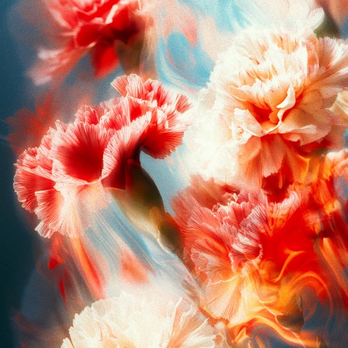 Buy EDM Ghost Production track - Jubel x NOTD