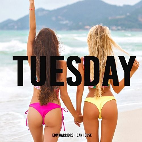 Buy EDM Ghost Production track - Tuesday