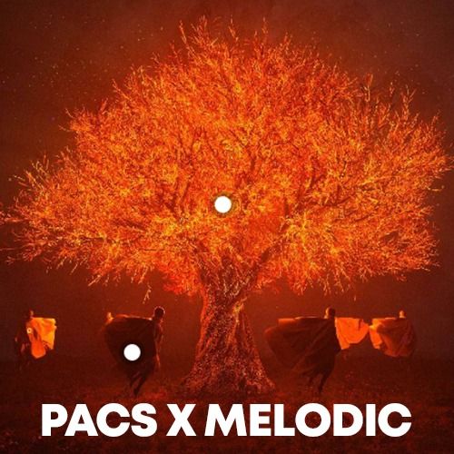 Buy EDM Ghost Production track - Pacs x Melodic