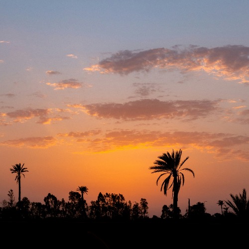 Buy EDM Ghost Production track - Hugel x Alex Wann