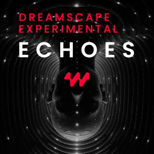 Buy EDM Ghost Production track - Echoes