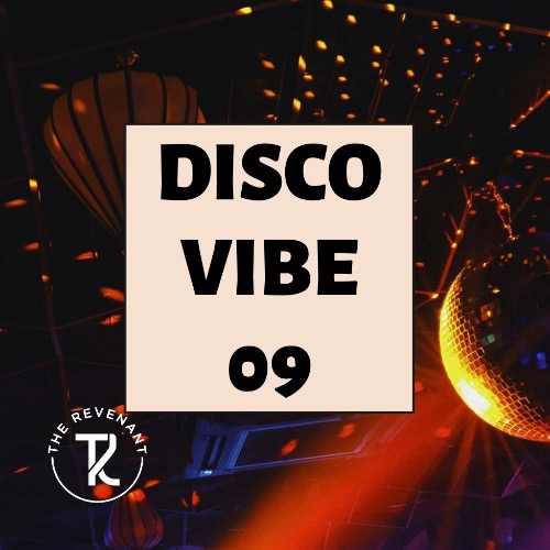 Buy EDM Ghost Production track - Disco Vibe 09