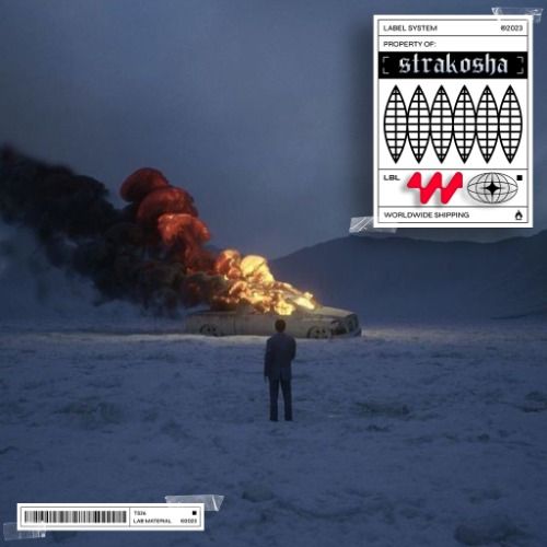 Buy EDM Ghost Production track - Voices In My Head