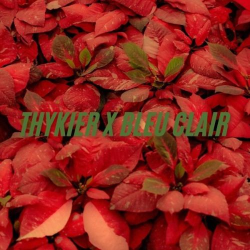 Buy EDM Ghost Production track - Thykier x Bleuclair