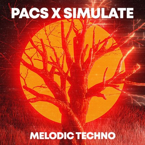Buy EDM Ghost Production track - Pacs x Simulate