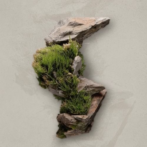 Buy EDM Ghost Production track - Style Siona