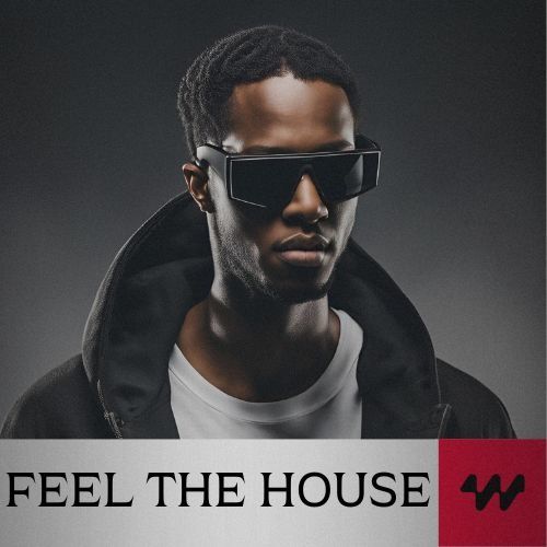 Buy EDM Ghost Production track - Feel The House