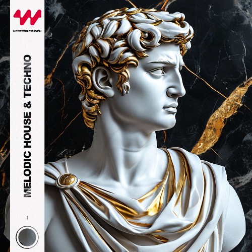 Buy EDM Ghost Production track - Melodic Ratito