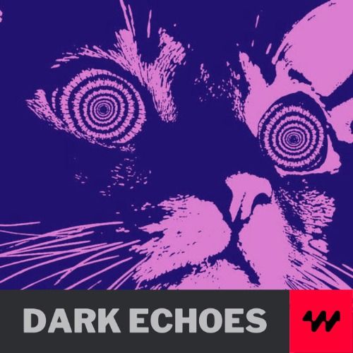 Buy EDM Ghost Production track - Dark Echoes