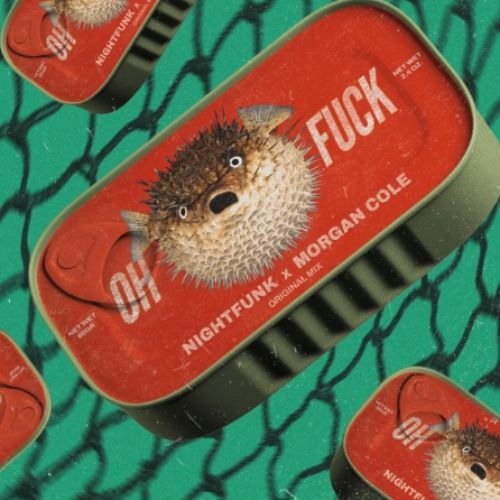 Buy EDM Ghost Production track - Everybody