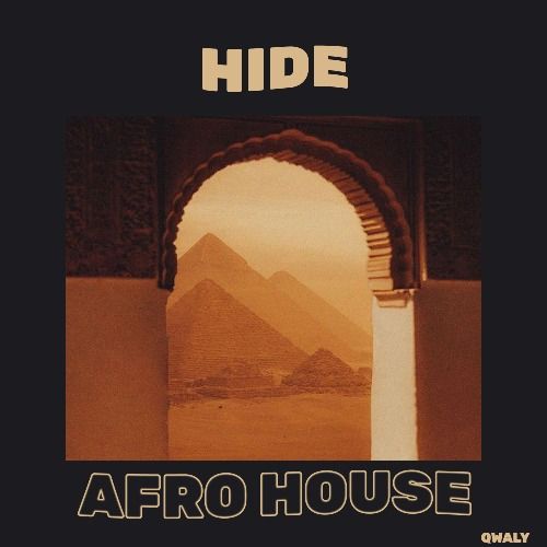 Buy EDM Ghost Production track - Hide