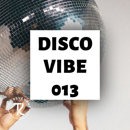 Buy EDM Ghost Production track - Disco Vibe 013