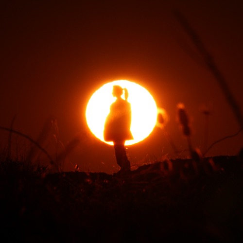 Buy EDM Ghost Production track - Neverwinter