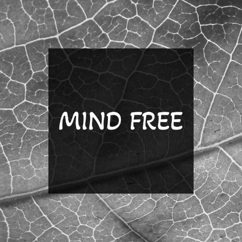 Buy EDM Ghost Production track - Mind Free