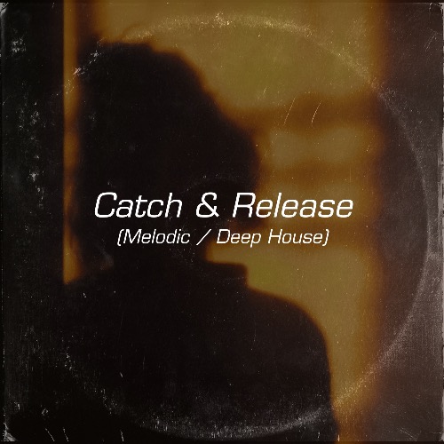 Buy EDM Ghost Production track - Catch & Release