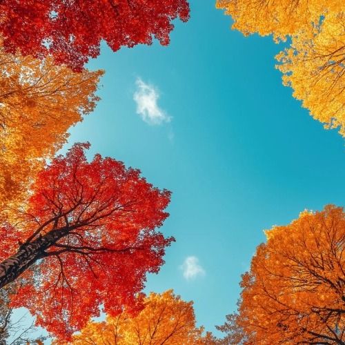 Buy EDM Ghost Production track - Fuego