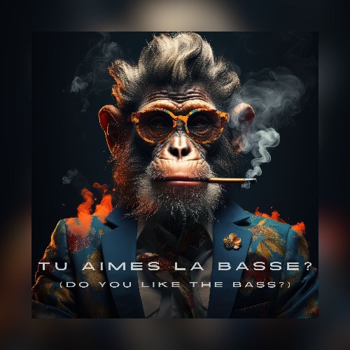 Buy EDM Ghost Production track - Tu Aimes la Basse?