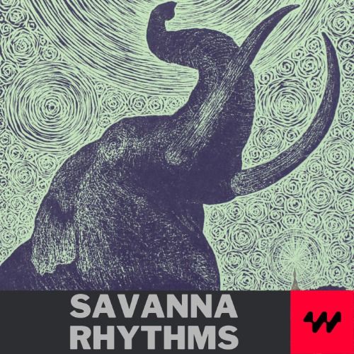 Buy EDM Ghost Production track - Savanna Rhythms