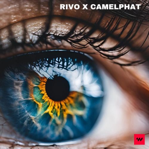 Buy EDM Ghost Production track - Holding on to You