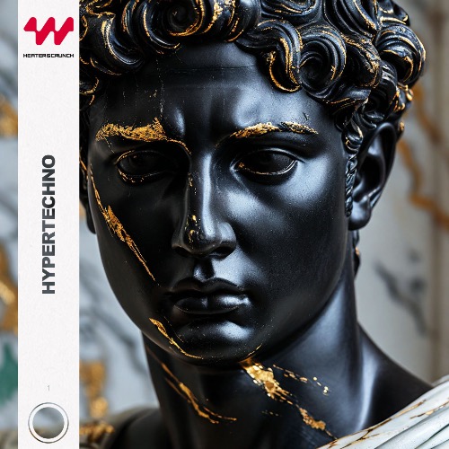 Buy EDM Ghost Production track - Hyper Acid