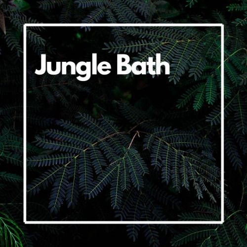 Buy EDM Ghost Production track - jungle Bath