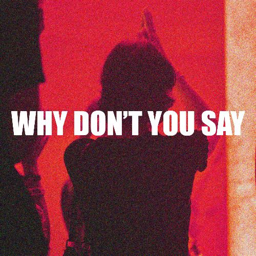 Buy EDM Ghost Production track - Why Don't You Say